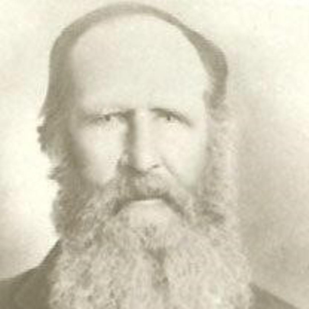 James Wardlaw Dawson (1842 - 1908) Profile